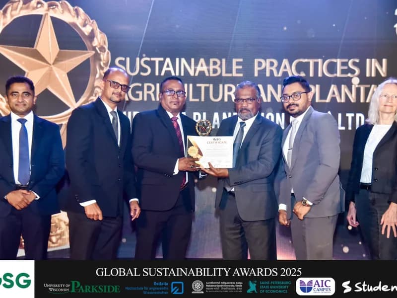 ICSG GOLD Award Global Sustainability 2025
